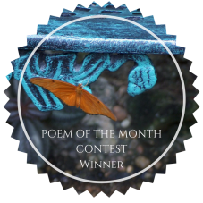 WINNERPOEM OF THE MONTHCONTEST
